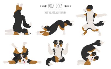Yoga köpekleri poz verir ve egzersiz yapar. Avustralya çoban köpeği Clipart. Vektör illüstrasyonu