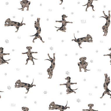 Yoga köpekleri poz verir ve poster tasarımı yapar. Catahoula leopar köpeği kusursuz desen. Vektör illüstrasyonu