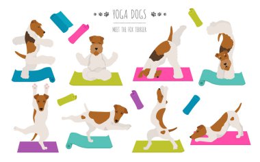 Yoga köpekleri poz verir ve poster tasarımı yapar. Pürüzsüz tilki teriyeri ve telli tilki teriyeri. Vektör illüstrasyonu
