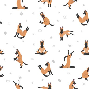 Yoga köpekleri poz verir ve poster tasarımı yapar. Belçika Malinois pürüzsüz deseni. Vektör illüstrasyonu