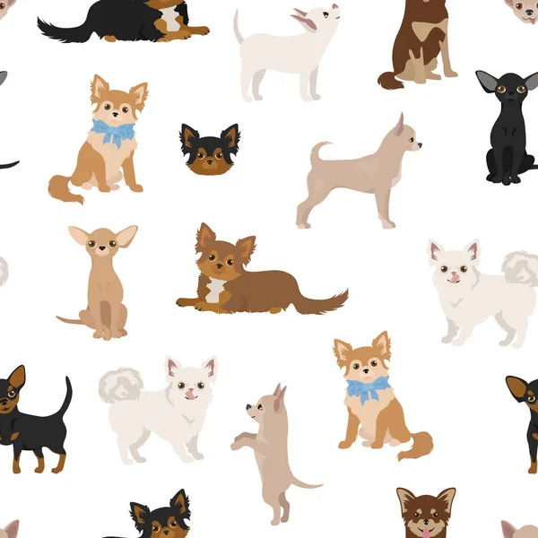 Chihuahua Cani Modello Senza Soluzione Continuità Diverse Varietà Set Colori — Vettoriale Stock
