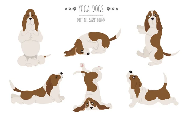 Yoga Honden Poseren Oefeningen Basset Jaagt Clipart Vectorillustratie — Stockvector