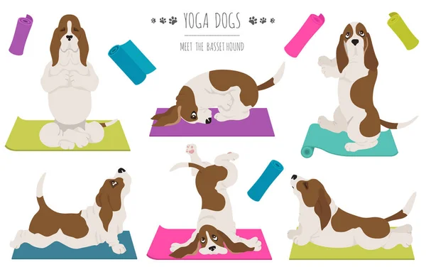 Yoga Köpekleri Poz Verir Egzersiz Yapar Basset Köpeği Kırpması Vektör — Stok Vektör