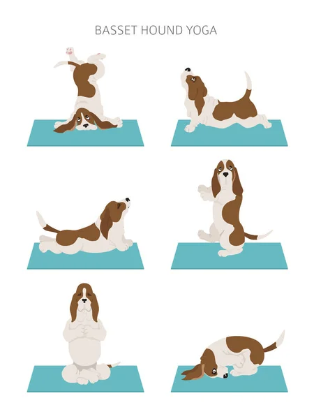 Cães Ioga Poses Exercícios Basset Hound Clipart Ilustração Vetorial — Vetor de Stock