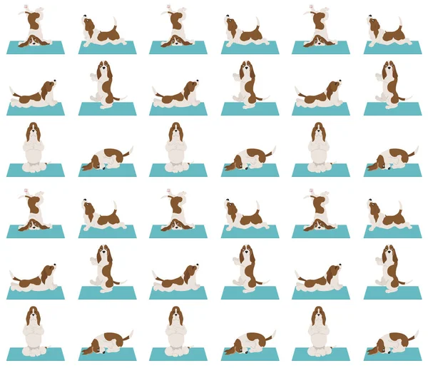 Yoga Anjing Pose Dan Latihan Pola Anjing Basset Mulus Ilustrasi - Stok Vektor