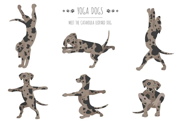 Perros Yoga Posa Ejercicios Diseño Póster Clipart Perro Leopardo Catahoula — Vector de stock
