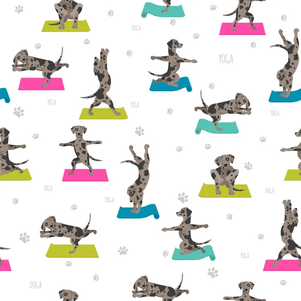 Yoga Hundar Poserar Och Övar Affischdesign Catahoula Leopard Hund Sömlöst — Stock vektor