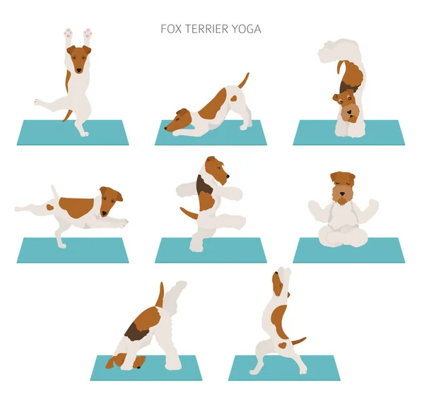 Perros Yoga Posa Ejercicios Diseño Póster Suave Zorro Terrier Alambre — Vector de stock