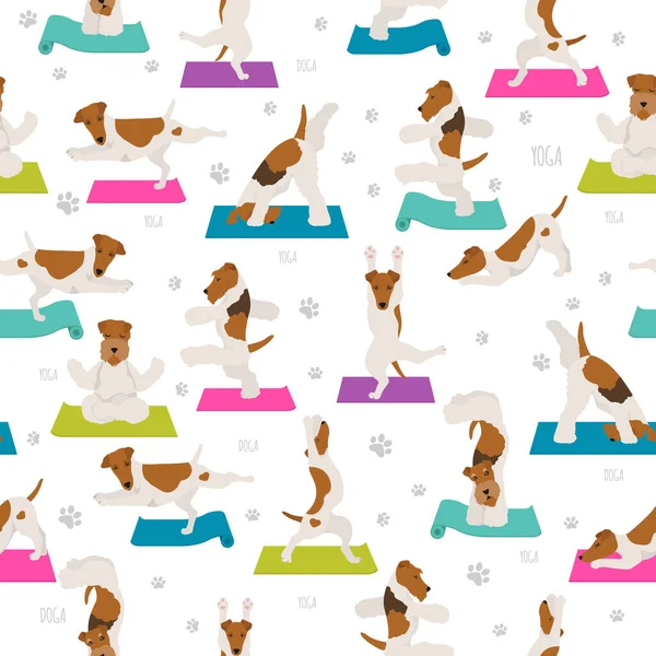 Yoga Hundar Poserar Och Övar Affischdesign Mjuk Räv Terrier Och — Stock vektor