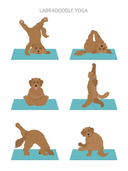 Yoga Chiens Pose Exercices Poster Design Clipart Hamster Illustration Vectorielle — Image vectorielle