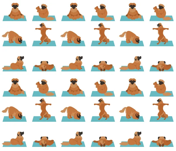 Cães Ioga Poses Exercícios Design Cartaz Padrão Sem Costura Leonberger — Vetor de Stock