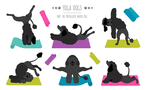 Cães Ioga Poses Exercícios Design Cartaz Clipart Cão Água Português — Vetor de Stock