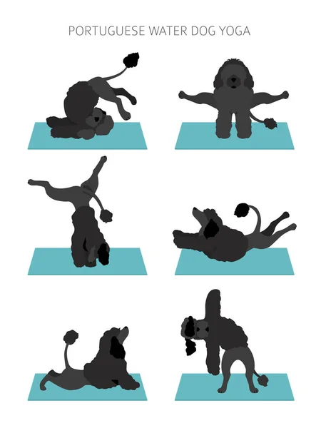 Cães Ioga Poses Exercícios Design Cartaz Clipart Cão Água Português — Vetor de Stock