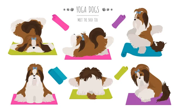 Yoga Cani Pose Esercizi Poster Design Shih Tzu Clipart Illustrazione — Vettoriale Stock