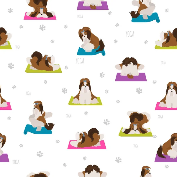 Cães Ioga Poses Exercícios Design Cartaz Shih Tzu Padrão Sem — Vetor de Stock