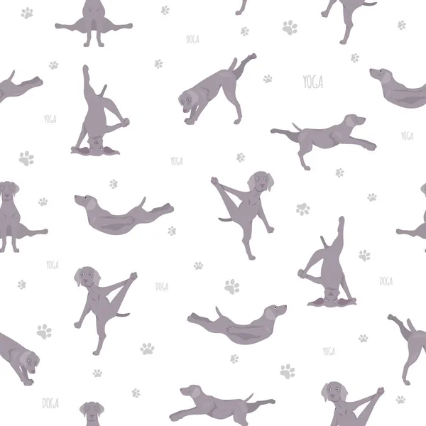 Perros Yoga Plantea Ejercicios Diseño Patrón Sin Costuras Clipart Weimaraner — Vector de stock