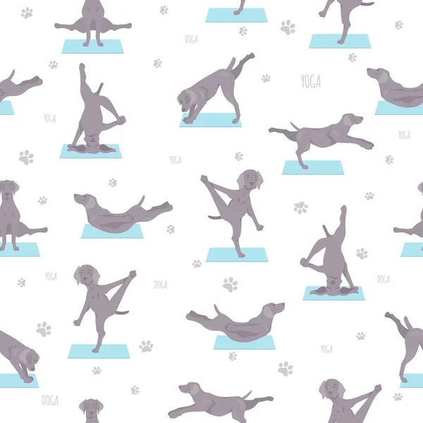 Yoga Chiens Pose Exerce Conception Modèle Sans Couture Clipart Weimaraner — Image vectorielle