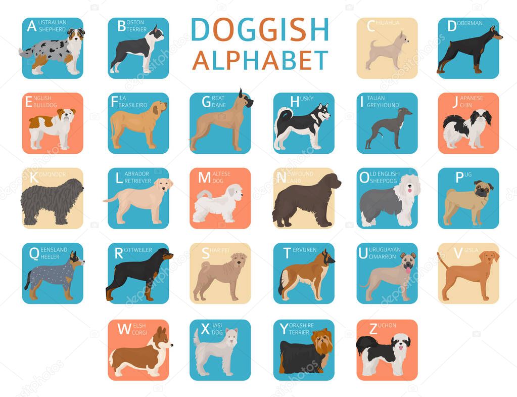 Doggish alphabet for dog lovers. Letters of the alphabet with the names of the dog breeds. Vector illustration