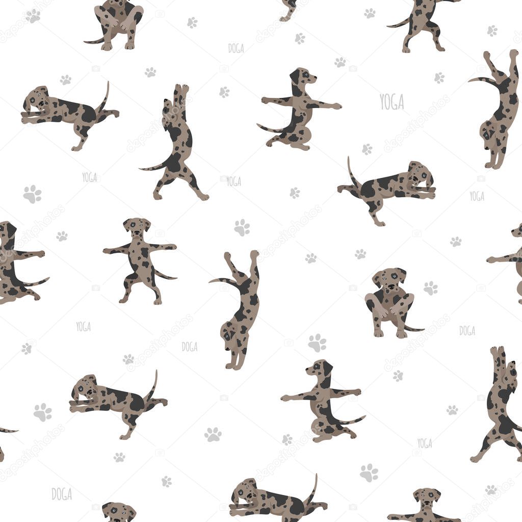Yoga dogs poses and exercises poster design. Catahoula leopard dog  seamless pattern. Vector illustration