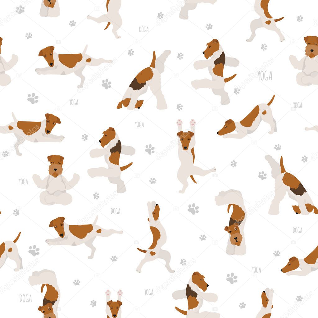 Yoga dogs poses and exercises poster design. Smooth fox terrier and wire fox terrier seamless pattern. Vector illustration