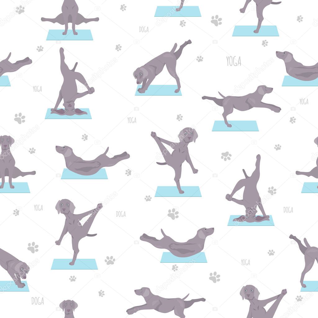 Yoga dogs poses and exercises seamless pattern design. Weimaraner clipart. Vector illustration