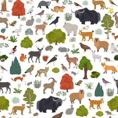 Apine tundra biyomu, doğal, pürüzsüz bir yapı. Karasal ekosistem dünya haritası. Hayvanlar, kuşlar ve bitkiler dizayn edildi. Vektör illüstrasyonu