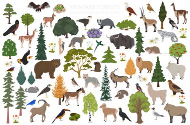 Montan Ormanı Biomu, doğal bölge bilgileri. Karasal ekosistem dünya haritası. Hayvanlar, kuşlar ve bitkiler ekosistem dizaynı. Vektör illüstrasyonu