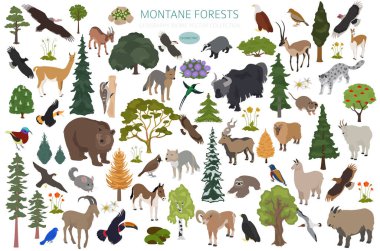 Montan Ormanı Biomu, doğal bölge bilgileri. Isome versiyonu. Karasal ekosistem dünya haritası. Hayvanlar, kuşlar ve bitkiler ekosistem dizaynı. Vektör illüstrasyonu