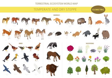 Ilıman ve kuru bozkır biyomu, doğal bölge izometrik bilgi. Prarie, steppe, çayırlar, pampalar. Karasal ekosistem dünya haritası. Hayvanlar, kuşlar ve bitkiler ekosistem dizaynı. Vektör illüstrasyonu