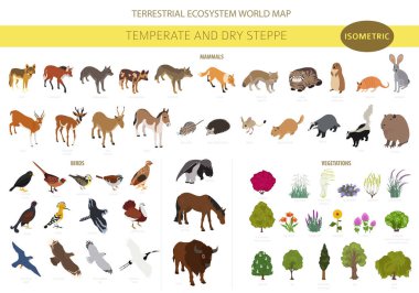 Temperate and dry steppe biome, natural region isometric infographic. Prarie, steppe, grassland, pampas. Terrestrial ecosystem world map. Animals, birds and vegetations ecosystem design set. Vector illustration clipart