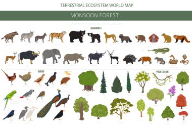 Monsoon forest biome, natural region infographic. Terrestrial ecosystem world map. Animals, birds and vegetations design set. Vector illustration clipart