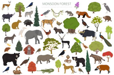 Monsoon forest biome, natural region infographic. Terrestrial ecosystem world map. Animals, birds and vegetations design set. Vector illustration clipart