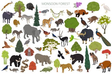 Monsoon forest biome, natural region infographic. Terrestrial ecosystem world map. Animals, birds and vegetations isometric design set. Vector illustration clipart