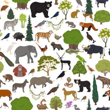Monsoon forest biome, natural region seamless pattern. Terrestrial ecosystem world map. Animals, birds and vegetations design set. Vector illustration