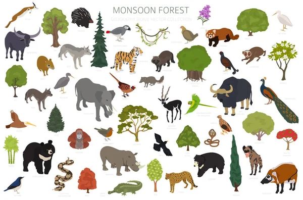 Monsoon Forest Biome Natural Region Infographic Terrestrial Ecosystem World Map — Stock Vector