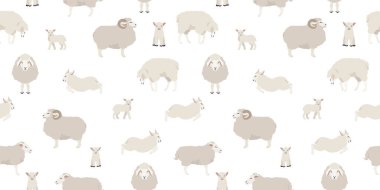 Koyun kusursuz bir model oluşturur. Çiftlik hayvanları seti. Düz dizayn. Vektör illüstrasyonu