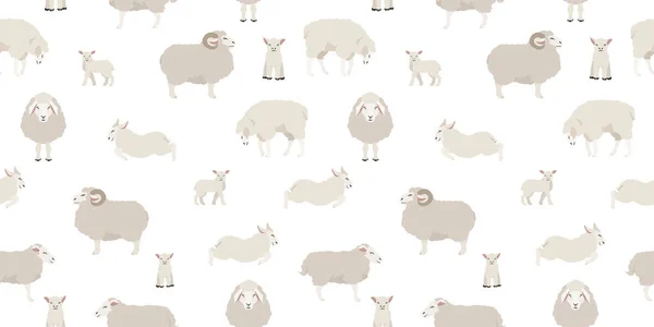 Овцы Представляют Собой Бесшовный Рисунок Фермерские Животные Готовы Плоский Дизайн — стоковый вектор