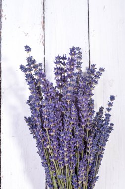 Bir demet lavanta.