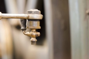 makro fotoğrafçılık tarihi makineleri