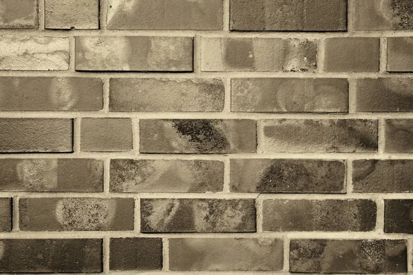 Texture brick wall in color. — Stock Photo, Image