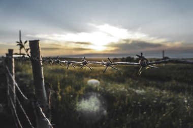 Sahada gün batımı