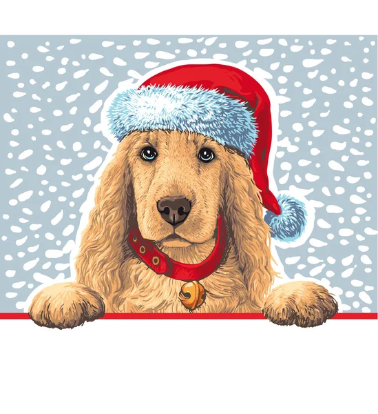Cão em chapéu de Santa — Fotografia de Stock