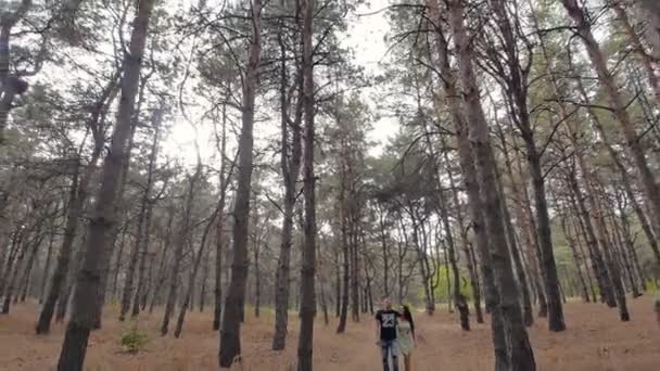 Amantes caminan en el bosque — Vídeo de stock