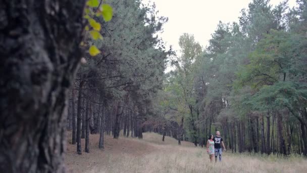 Любляча пара в парку — стокове відео