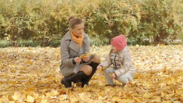 Mamma e bambino raccolgono foglie gialle nel parco — Video Stock