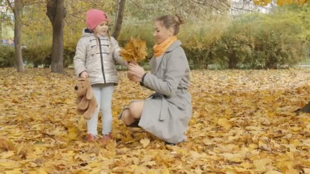 Mãe e bebê coletar folhas amarelas no parque. mãe beija sua filha — Vídeo de Stock