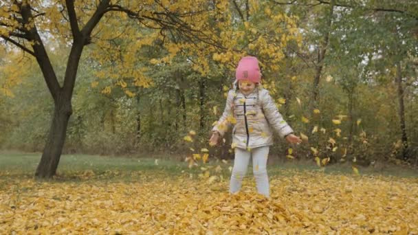 Little girl throwing autumn leaves — Stock Video