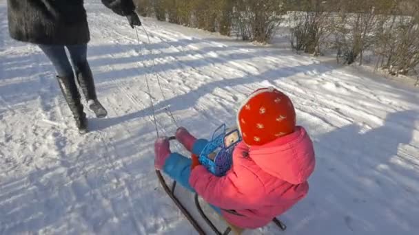 Chica monta un trineo a través de la nieve — Vídeos de Stock