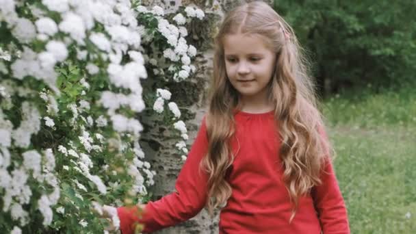 一个开着花的灌木的女孩孩子在公园的春天 开花的灌木 — 图库视频影像