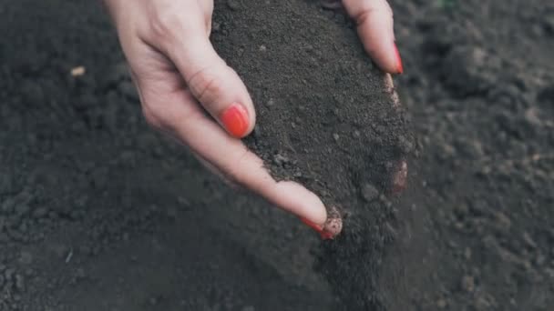 Lavori Agricoli Terreni Coltivabili Mano Agricoltura Biologica Giardinaggio Primaverile — Video Stock